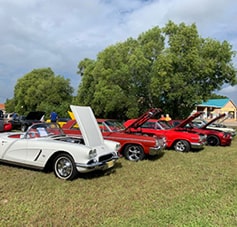 Cruise Gallery image